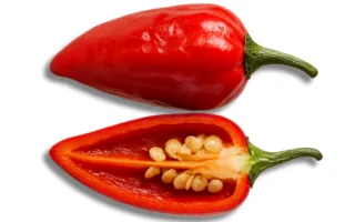 Afro Chilli
