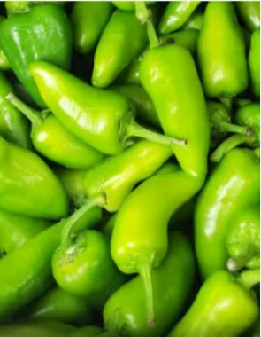 Bullet Chillies