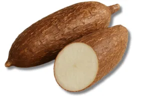 Casava/ Maniok