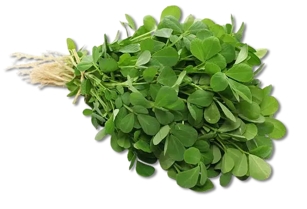 Methi
