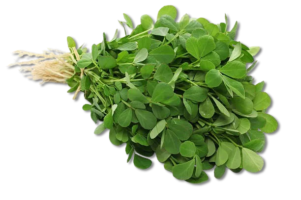 Methi