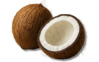 Coconut