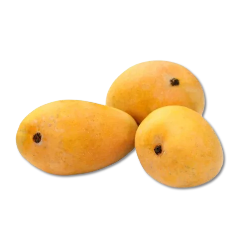 Fresh Mangoes (Price varies according to season)