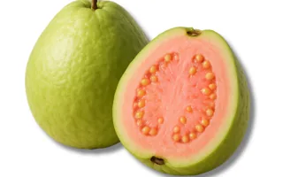 Guava