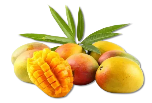 Alfonso Mangoes (seasonal)