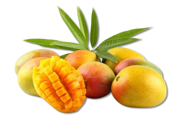 Alfonso Mangoes (seasonal)