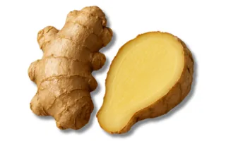Ginger
