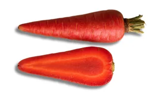 Indian Gajjar (seasonal)
