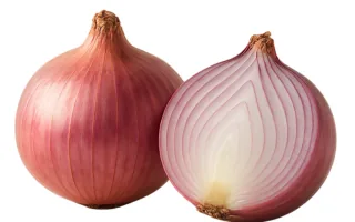 Pink Onion (Ind)
