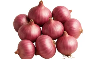 Small Onion
