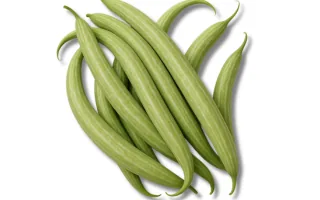 Snake gourd