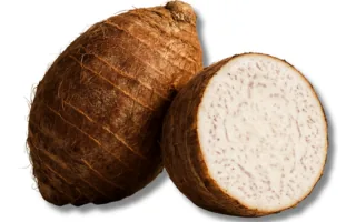 Taro