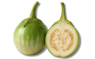Thai Eggplant