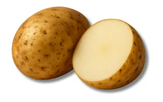 Potato