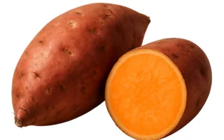 Sweet Potato (Red)