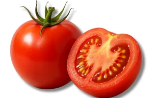 Tomato