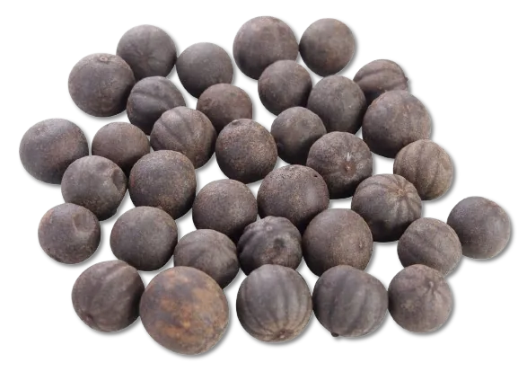 Dried Lemon Black