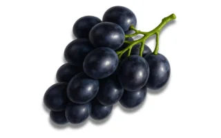 Black Grapes