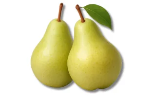 Pear