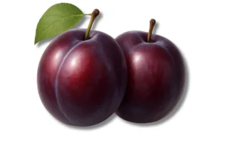Plums