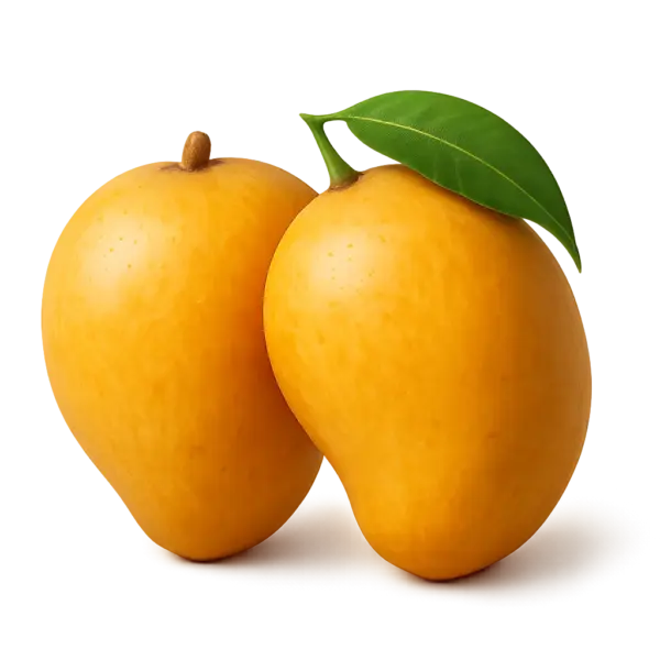 Alphonso Mango