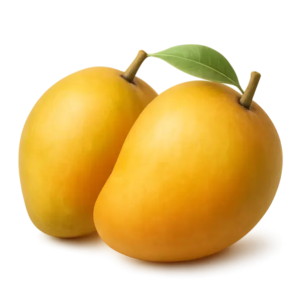 Kesar Mango