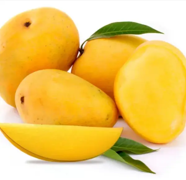 Sindhri /Pakistani Mango