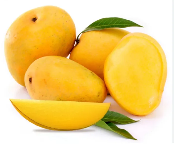 Sindhri /Pakistani Mango