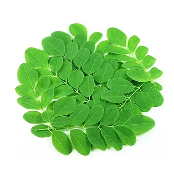 Moringa Leaves (Drumstick Leaves)