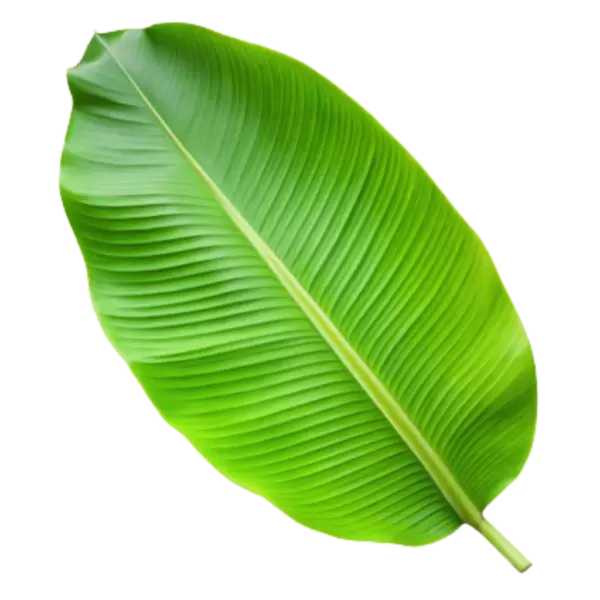 Banana Leaf