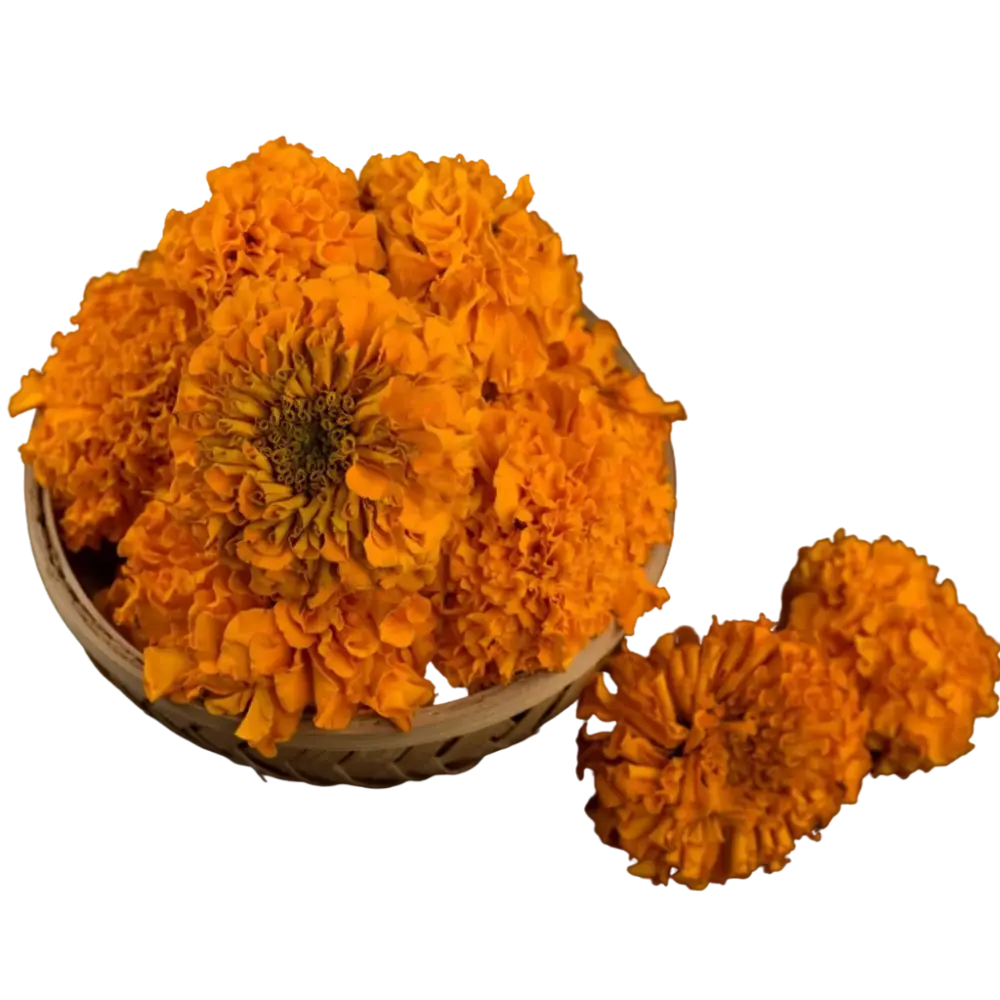 Orange Marigold (Genda) Flowers