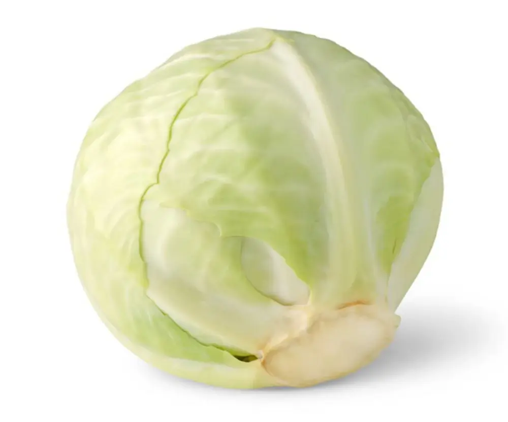 white cabbage