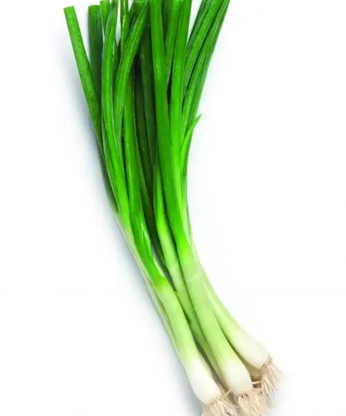 spring onions