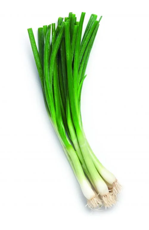 spring onions