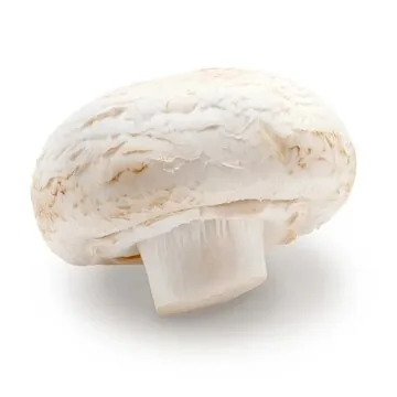 Mushrooms