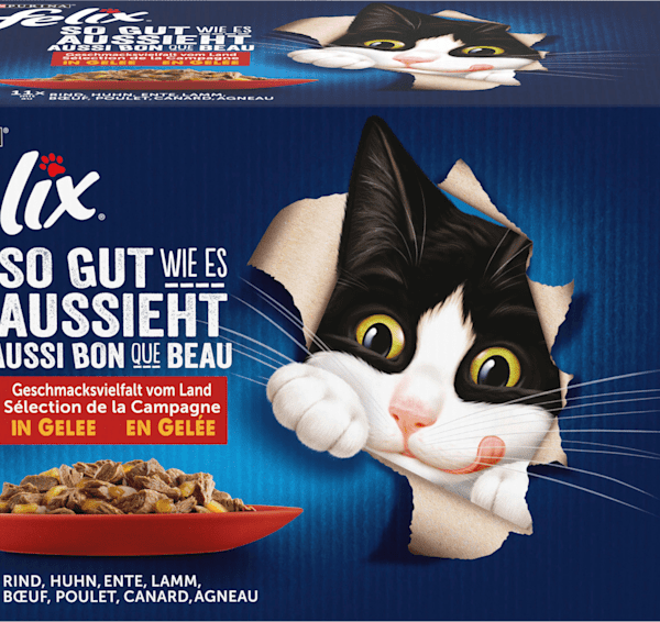 Wet food cat, variety of flavor from land with beef, chicken, duck & lamb in jelly, multipack (44x85 g), 3.74 kg