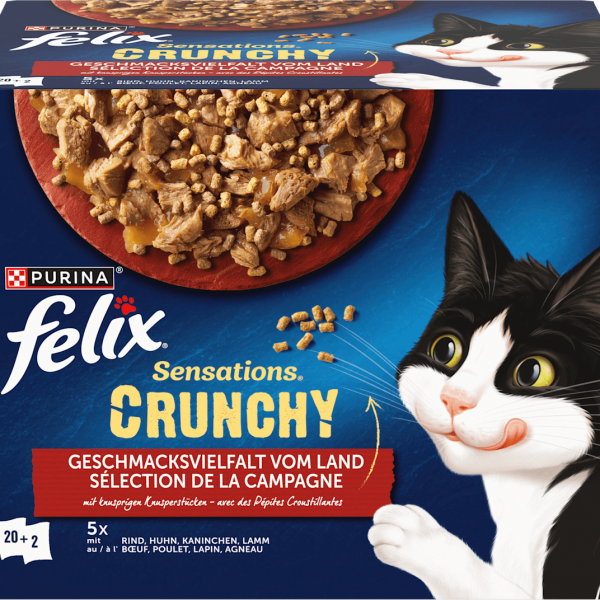 Wet food cats, crunchy flavor variety from land, multipack (20x85g + 2x40g), 1.78 kg