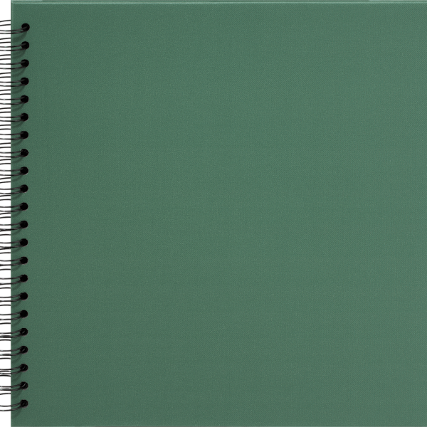 Photo album Profi 30x30 cm, green with black insides, 1 St