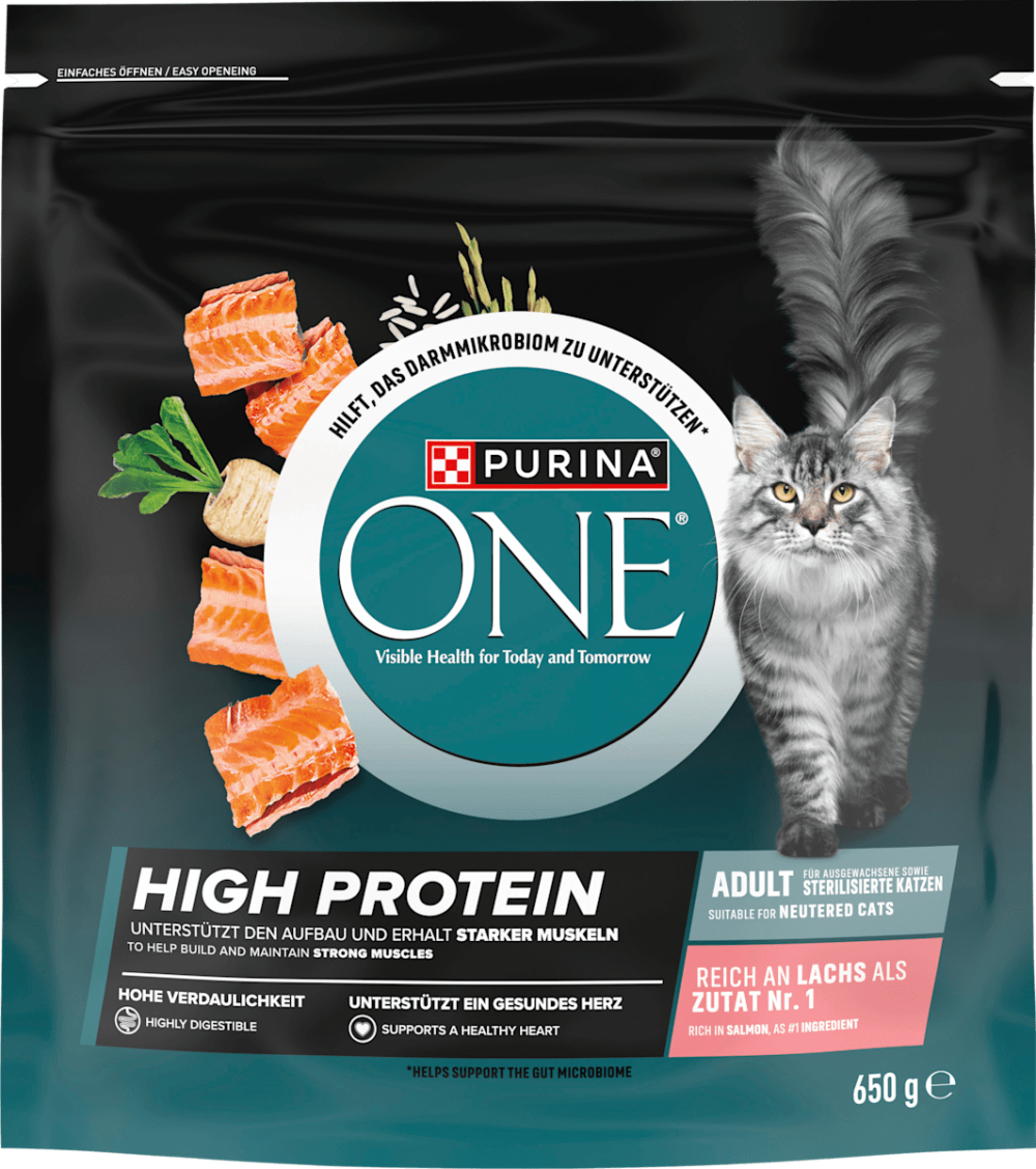 Dry food cat rich in salmon, high protein, 650 g