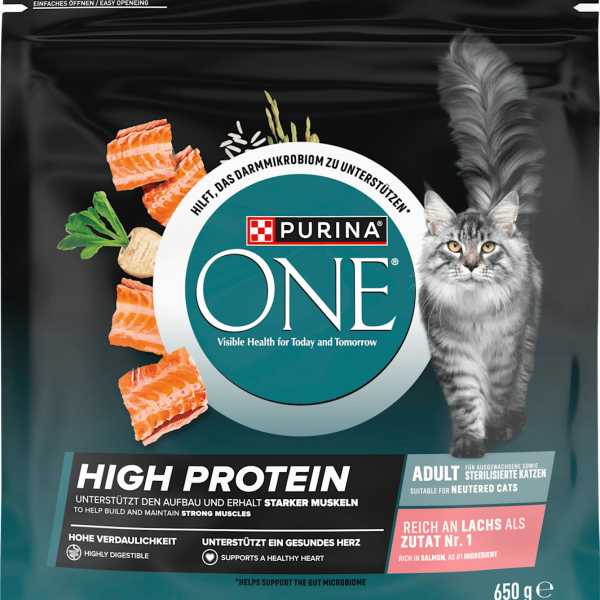 Dry food cat rich in salmon, high protein, 650 g
